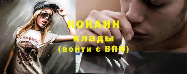 дживик Майский