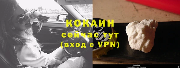 дживик Майский