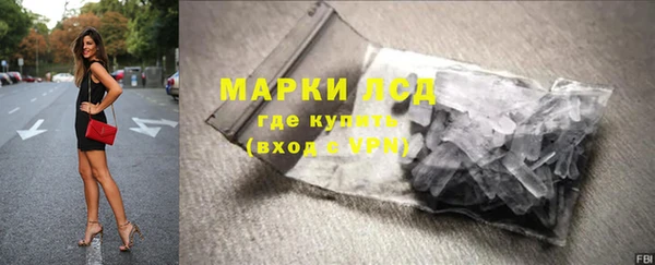 дживик Майский