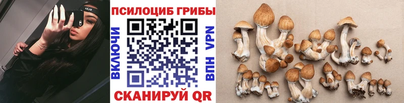 даркнет сайт  Екатеринбург  Псилоцибиновые грибы Psilocybine cubensis 